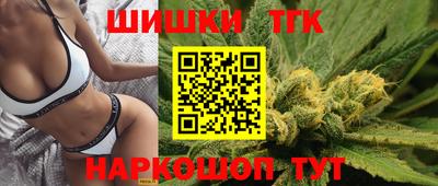 стаф Моздок