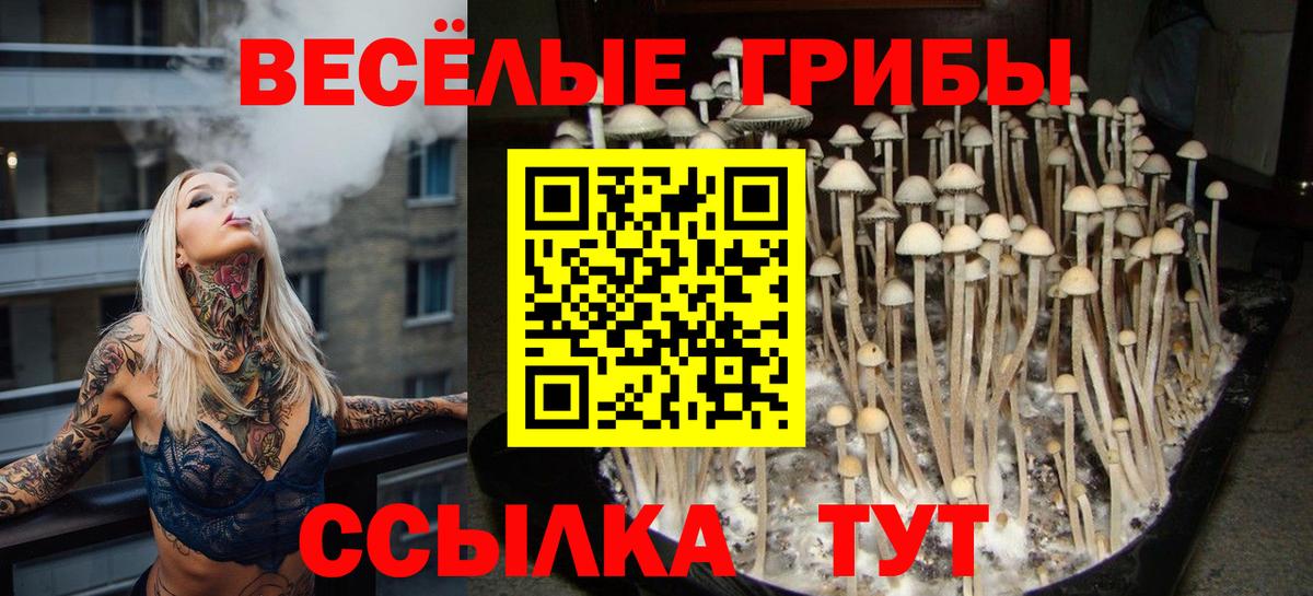 Галлюциногенные грибы GOLDEN TEACHER  Вход с VPN  Вичуга 